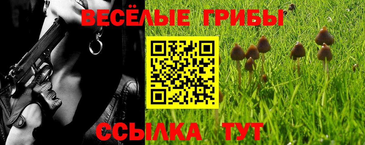 Псилоцибиновые грибы прущие грибы  Вход с VPN  наркошоп  Выкса 