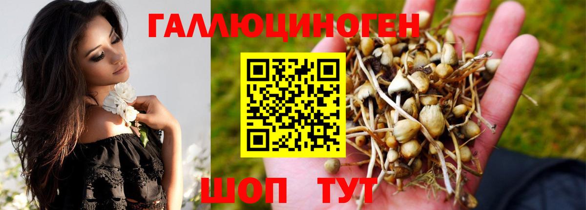 Галлюциногенные грибы MAGIC MUSHROOMS Выкса